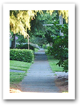 Treed sidewalk
